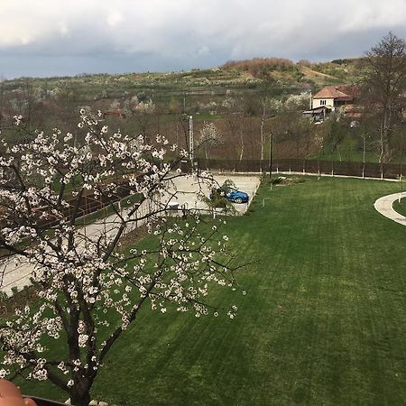 Pensiunea Amurg Mesesenii de Sus Buitenkant foto