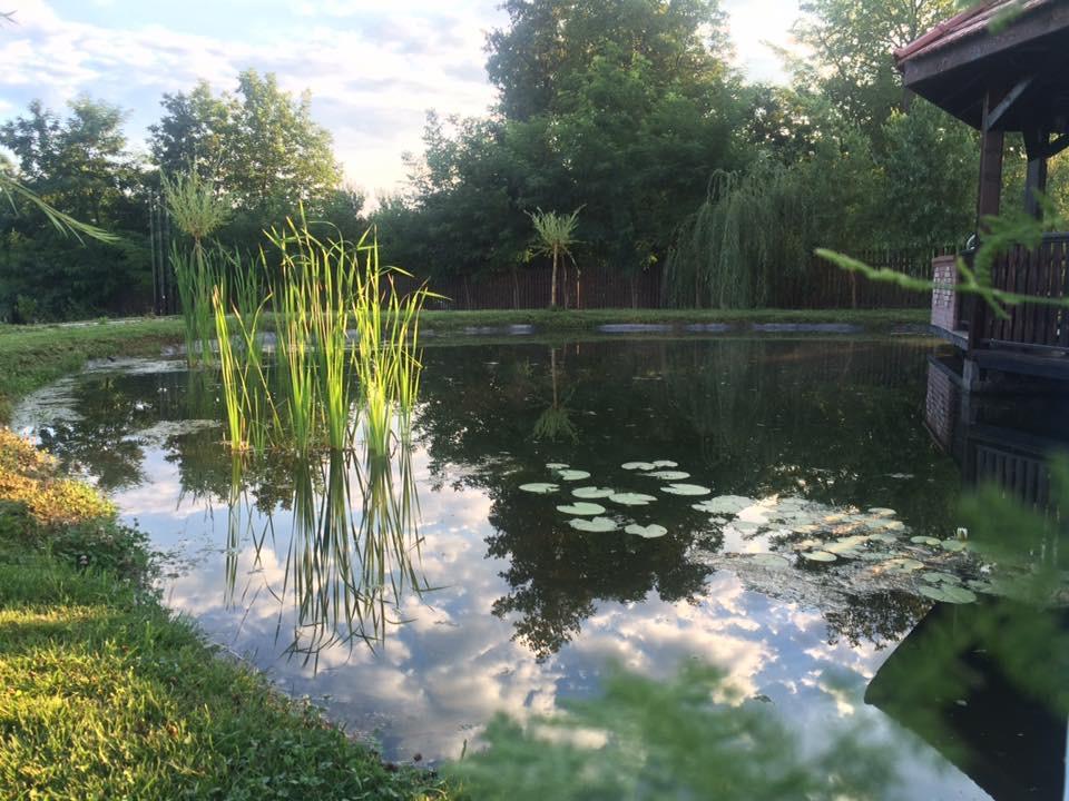 Pensiunea Amurg Mesesenii de Sus Buitenkant foto