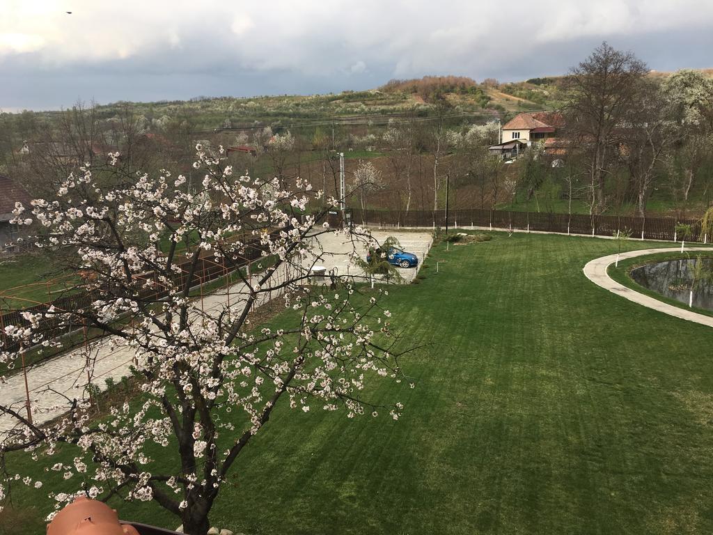 Pensiunea Amurg Mesesenii de Sus Buitenkant foto