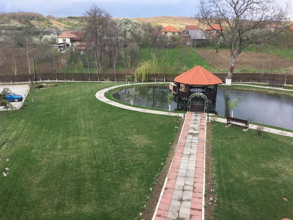 Pensiunea Amurg Mesesenii de Sus Buitenkant foto